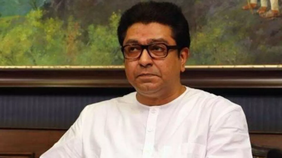 सत्तेचा काय उपयोग? पुलावर प्रवेशबंदी का नाही? राज ठाकरे सरकारवर भडकले